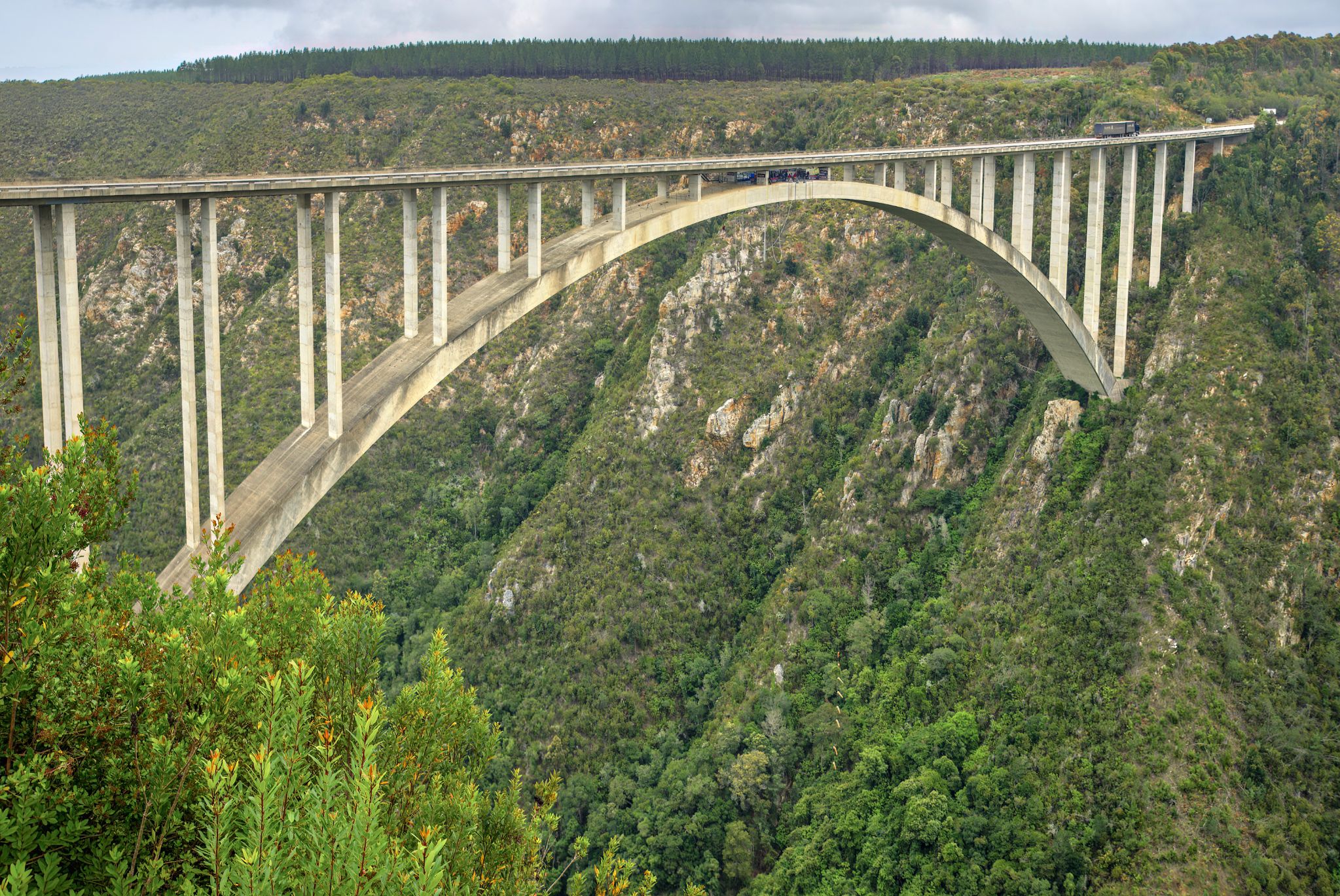 Die Bloukrans Bungy ist die höchste kommerzielle Bungee-Jump-Brücke der Welt (216 m) und eine der bekanntesten Attraktionen Südafrikas. Sie liegt in Tsitsikamma nahe Nature’s Valley im Western Cape und wird von Face Adrenalin betrieben. Mit 100 % Sicherheitsrekord und sechs Guinness-Weltrekorden ist sie ein Highlight für Adrenalin-Fans.